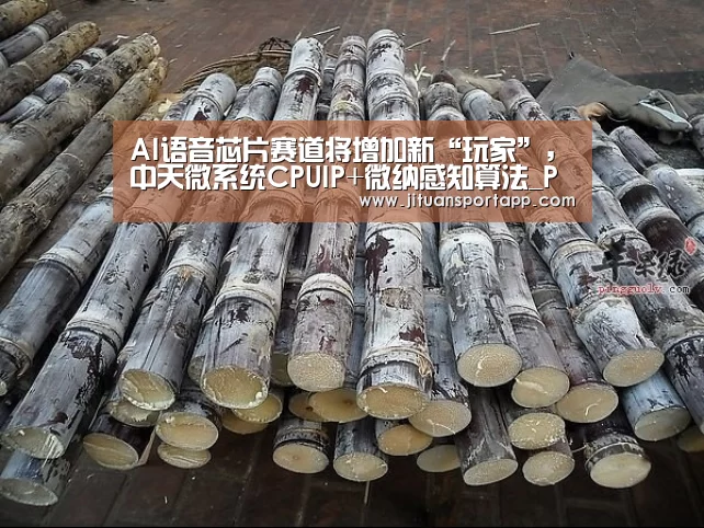 AI语音芯片赛道将增加新“玩家”，中天微系统CPUIP+微纳感知算法_PA集团首页