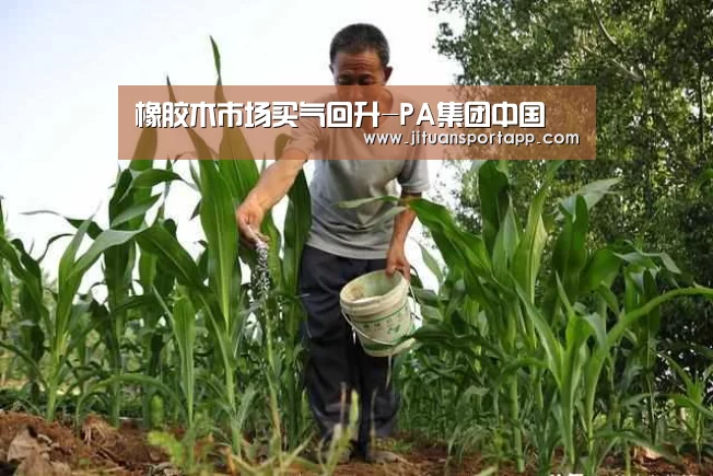 橡胶木市场买气回升-PA集团中国(图1) PA集团中国