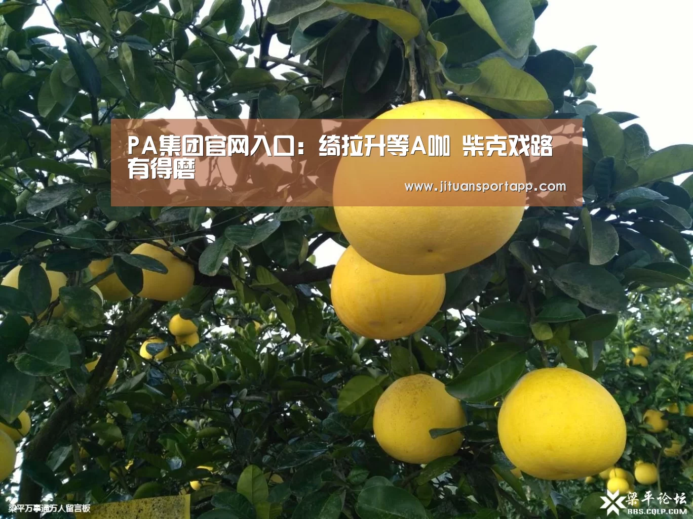 PA集团官网入口:绮拉升等A咖 柴克戏路有得磨(图2) PA集团首页