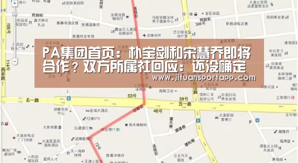 PA集团中国