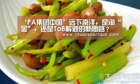 ‘PA集团中国’远下南洋,是淘“金”,还是ToB解题的新思路?(图2) PA集团首页