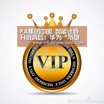 PA集团中国_智能计算升级背后:华为“不想再搬砖”(图4) PA集团首页