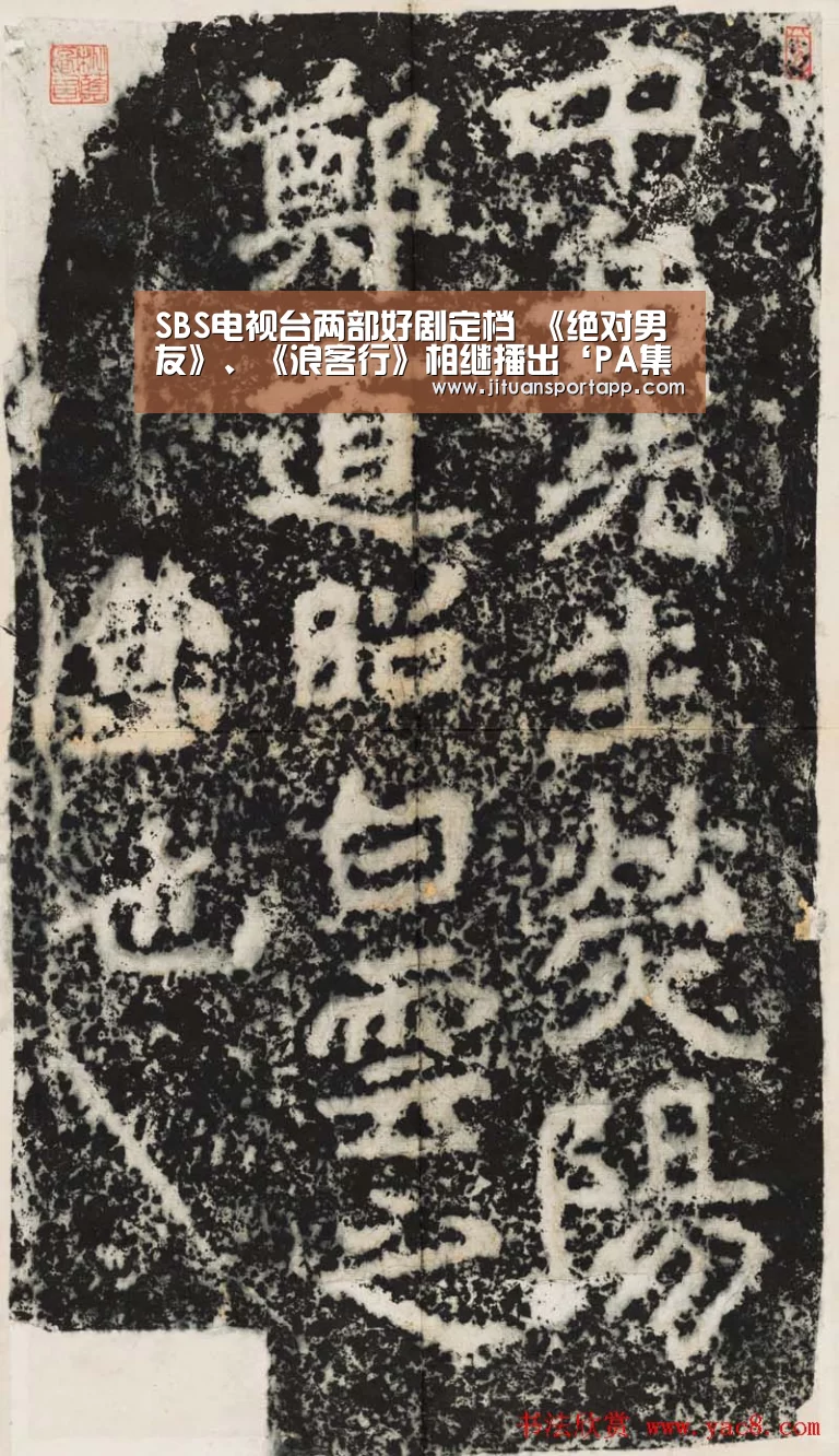 SBS电视台两部好剧定档 《绝对男友》、《浪客行》相继播出‘PA集团中国’(图1) PA集团首页